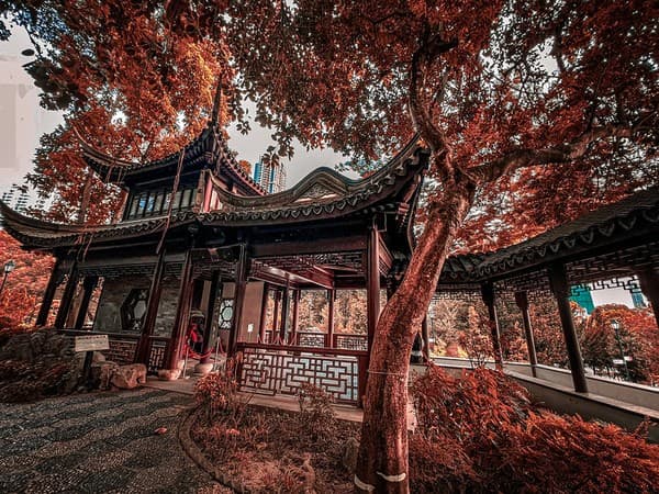 Kowloon Walled City Park Photo 1