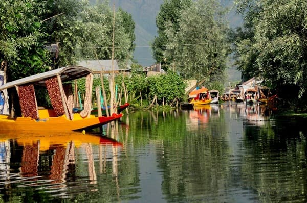 Shikara ride on Dal Lake