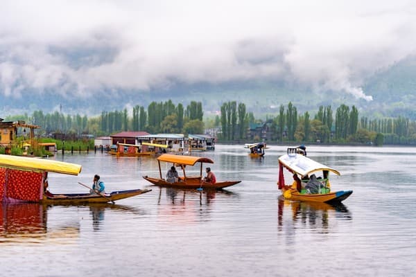 Shikara ride on Dal Lake Photo 3