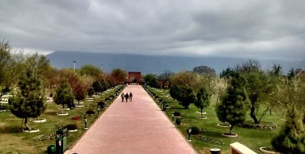 Badamwari Almond Blossom walk (spring) Photo 2