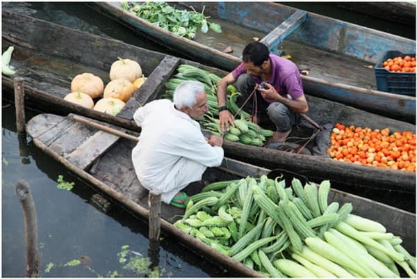 Floating vegetable market at dawn Photo 1