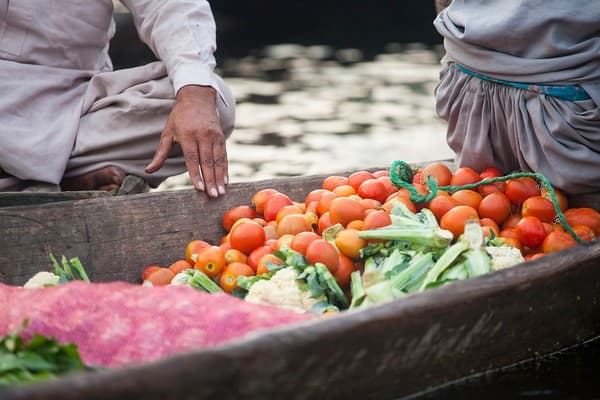 Floating vegetable market at dawn Photo 2
