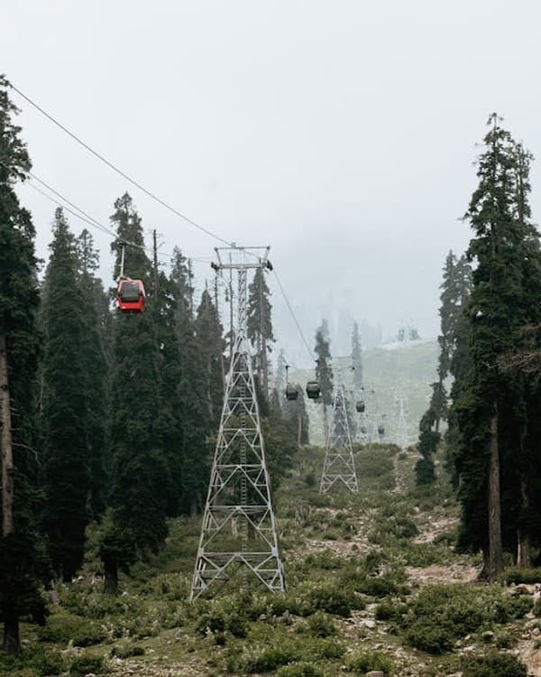 Ride the Gulmarg Gondola to Kongdoori/Apharwat Photo 2