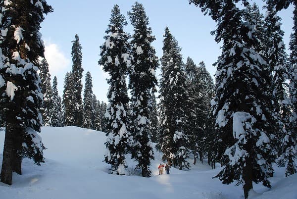 Snowshoeing and ice skating Photo 2