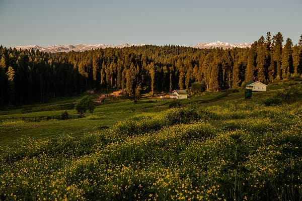 Yusmarg meadow walks and pony rides Photo 2