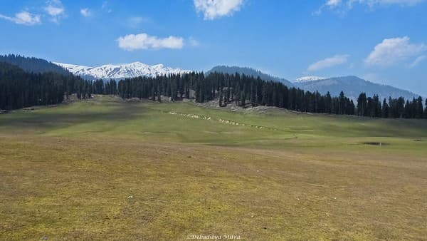 Doodhpathri meadows and shingle river picnic Photo 3