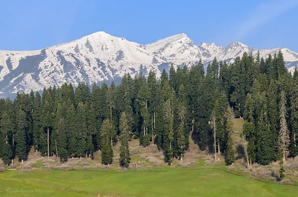 Doodhpathri meadows and shingle river picnic Photo 2