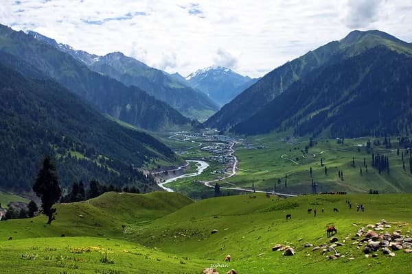 Sonamarg meadows and valley viewpoints Photo 2