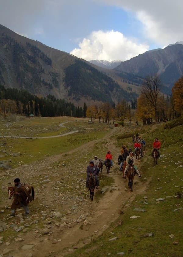 Trek or pony ride to Thajiwas Glacier Photo 3