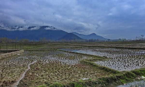 Lolab Valley scenic drives and walks Photo 3