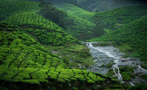Kerala travel photo 1