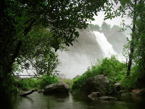 Athirappilly and Vazhachal Waterfalls visit Photo 1