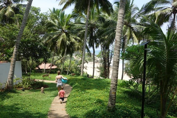 Periyar Tiger Reserve bamboo rafting and jungle walk Photo 3