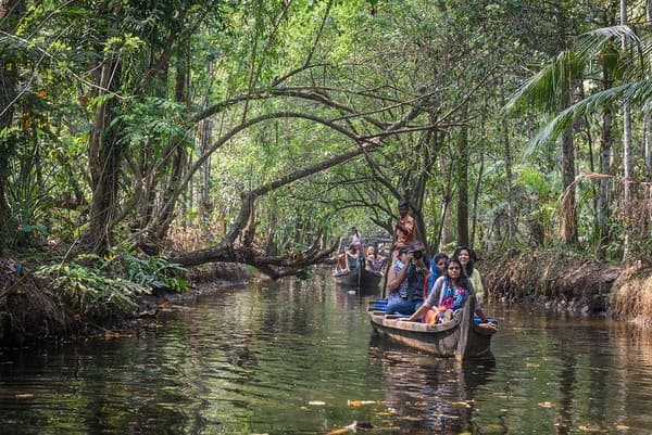 Poovar estuary and mangrove cruise Photo 2