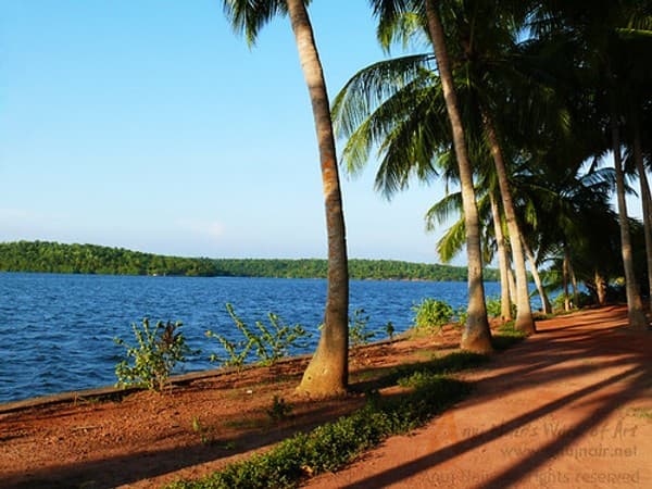 Ashtamudi Lake backwater cruise Photo 2