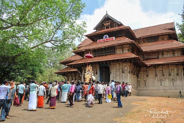 Thrissur Pooram temple festival (seasonal) Photo 3