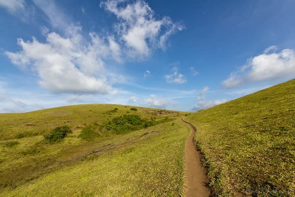Vagamon paragliding and meadows walk Photo 3