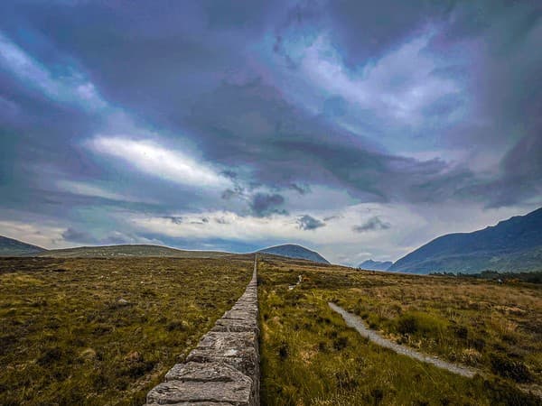 Silent Valley National Park rainforest experience Photo 3