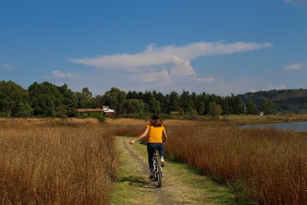 Cycling through paddy fields of Kuttanad Photo 3