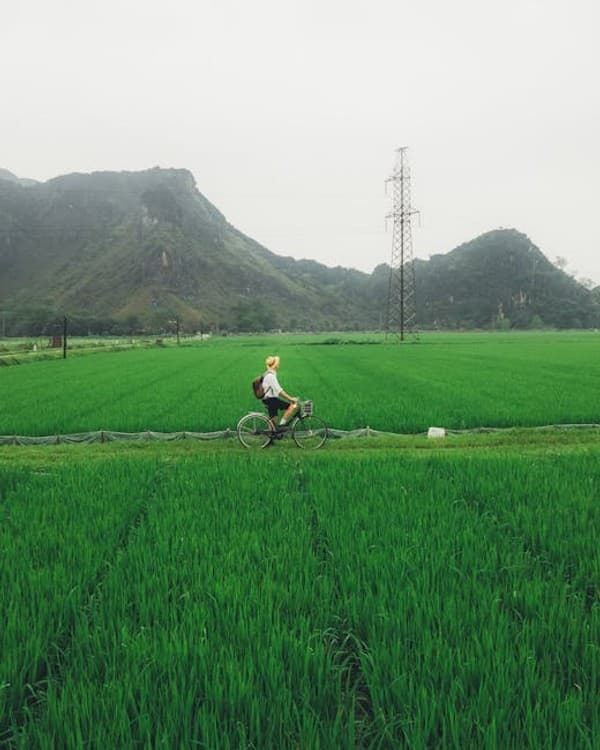 Cycling through paddy fields of Kuttanad Photo 2