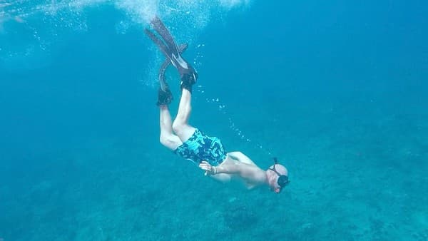 Swim with whale sharks Photo 3