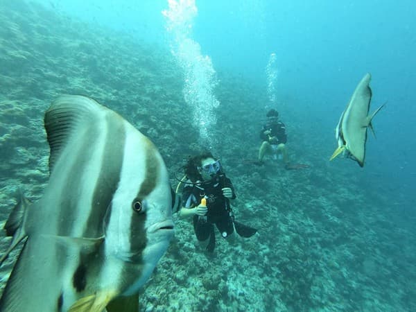 Snorkel/Dive Banana Reef