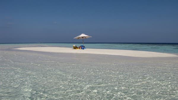 Sandbank picnic and snorkeling Photo 2