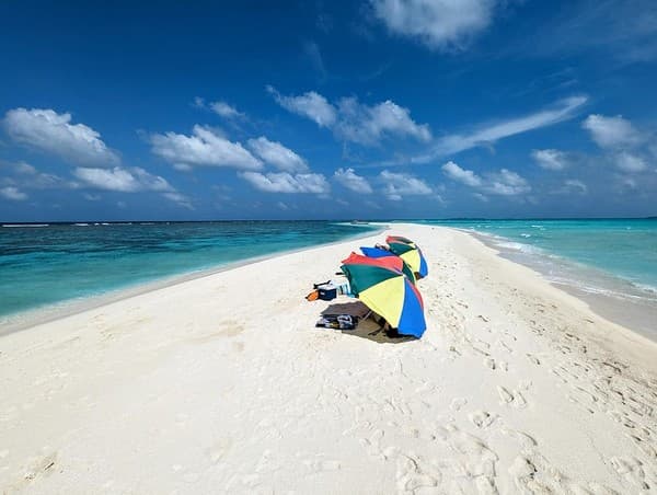 Sandbank picnic and snorkeling Photo 3