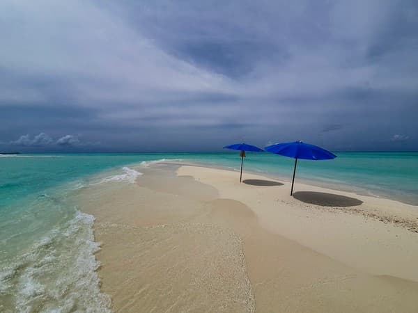 Sandbank picnic and snorkeling Photo 1