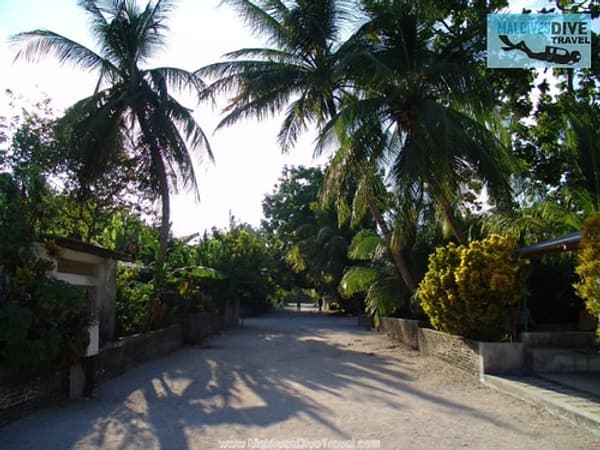 Island hopping to local islands Photo 3