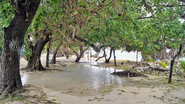 Canoeing in Addu Nature Park mangroves Photo 2