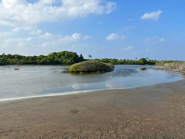 Canoeing in Addu Nature Park mangroves Photo 1