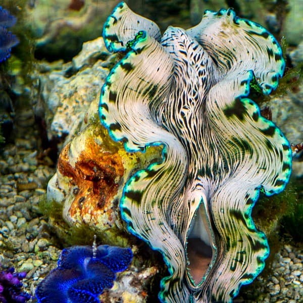 Visit a Marine Discovery Centre Photo 3