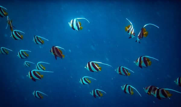 Visit a Marine Discovery Centre