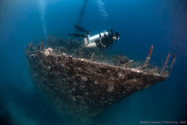 Shipwreck dive at the Victory Wreck Photo 2
