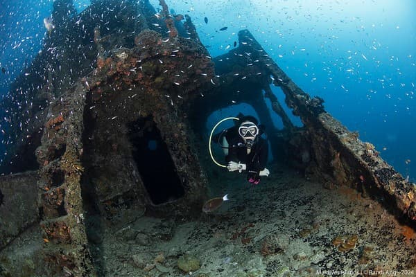 Shipwreck dive at the Victory Wreck