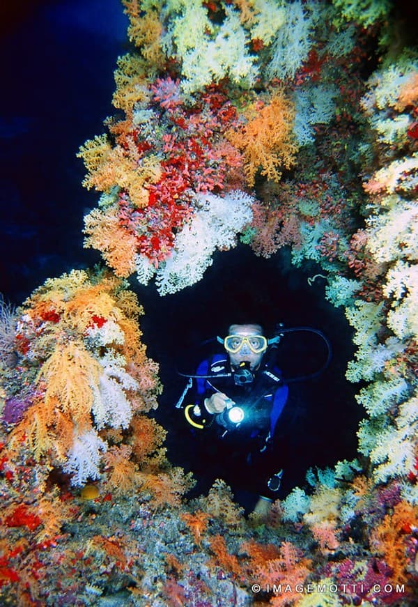 Advanced drift dive at Fotteyo Kandu