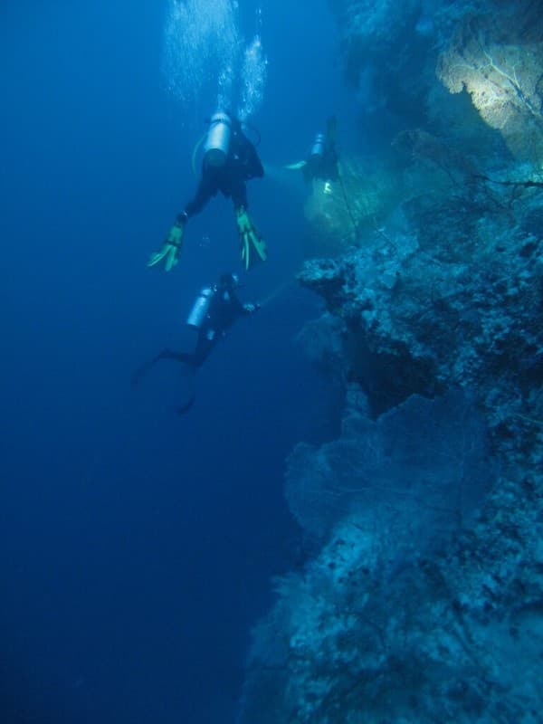 Advanced drift dive at Fotteyo Kandu Photo 3