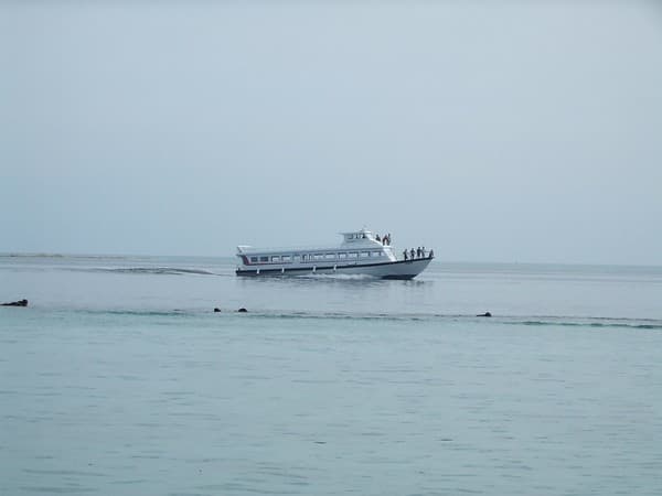 Tharika 2 thulusdhoo ferry - MALDIVES Tharika 2 thulusdhoo ferry - MALDIVES