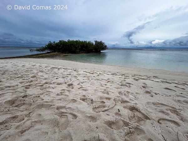 Dhigurah