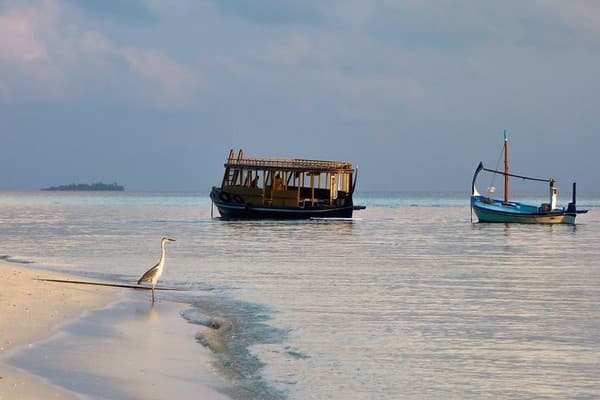 fulidhoo