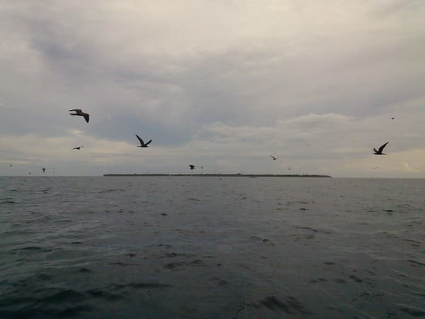 Vaadhoo