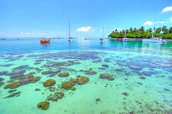 Feydhoo