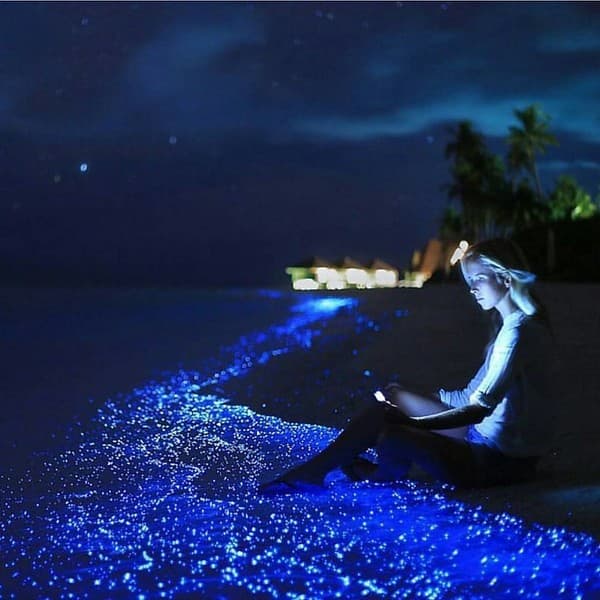 Mudhdhoo Island (bioluminescence)