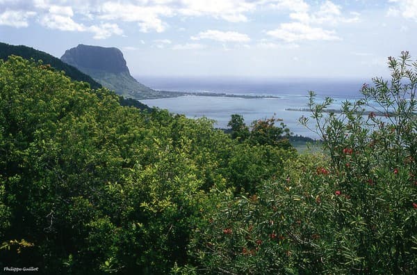 Le Morne Brabant