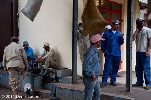 Mauritius : Workers at Bois Cheri Tea factory