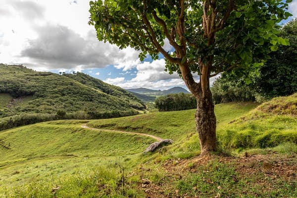Domaine de l’Etoile