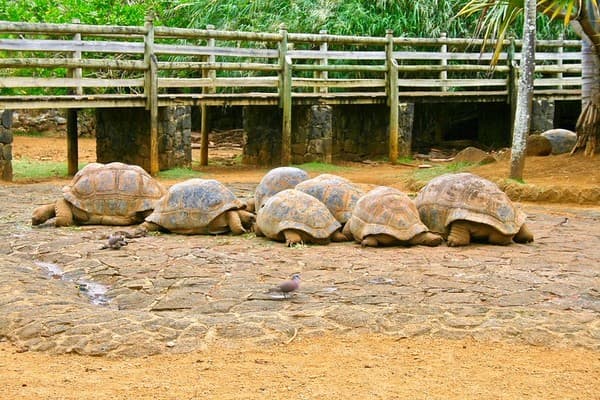 La Vanille Nature Park