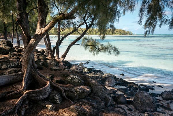 Mauritius - Île aux Cerfs