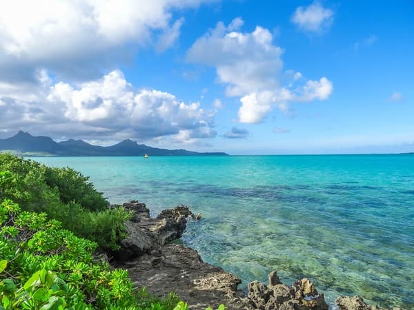 Île aux Aigrettes Nature Reserve